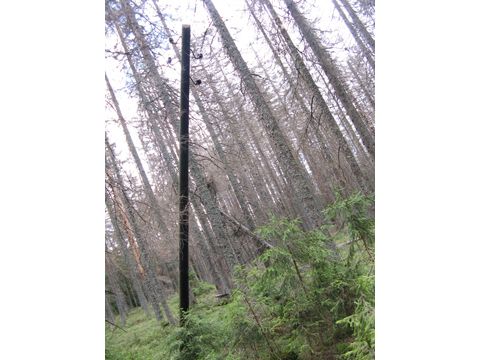 Foto 19
